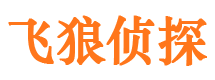 长丰找人公司